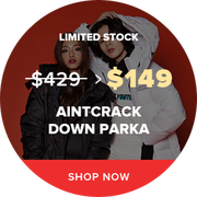 Most Dividend Paying Stocks in the US: Your Guide t